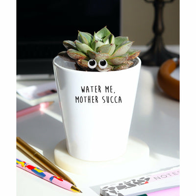 Water Me Mother Succa | Funny Planter, Plant and Repotting Kit