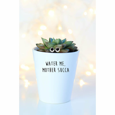 Water Me Mother Succa | Funny Planter, Plant and Repotting Kit