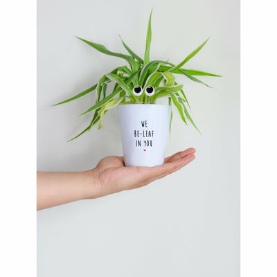 We Be-Leaf In You | Funny Planter, Plant and Repotting Kit