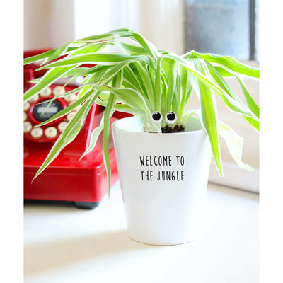 Welcome To The Jungle | Funny Planter, Plant and Repotting Kit