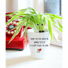 Wings To Fly Floral Plant Pot | Funny Planter, Plant and Repotting Kit