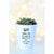 Wings To Fly Plant Pot | Cute Planter, Plant and Repotting Kit