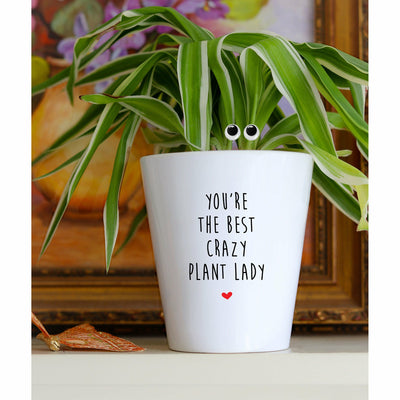 You're The Best Crazy Plant Lady | Funny Planter, Plant and Repotting Kit