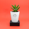 You Are Not Aloe-n | Funny Planter, Plant and Repotting Kit
