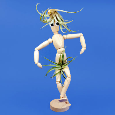The Lady Gardener | Funny Hairy Air Plant, Figure & Growing Kit
