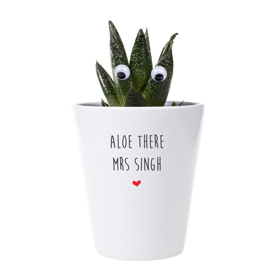 Aloe There | Personalised Punny Planter, Plant and Repotting Kit