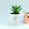 Teacher Desk Aloe Pun Planter | Personalised Punny Planter, Plant and Repotting Kit