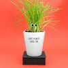 Chive Always Loved You | Punny Planter & Seeds Kit