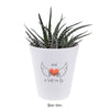 Roots And Wings Plant Pot | Cute Planter, Plant and Repotting Kit