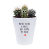 Maybe You're A Prick But You're My Prick | Funny Planter, Plant and Repotting Kit