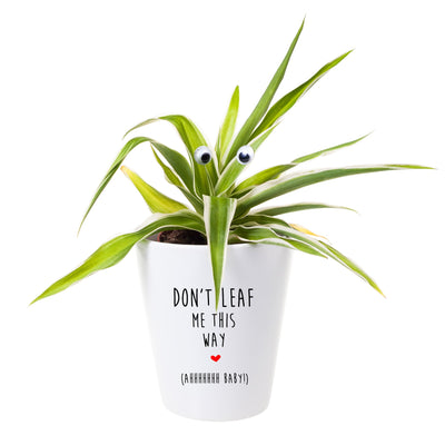 Don't Leaf Me This Way | Funny Planter, Plant and Repotting Kit