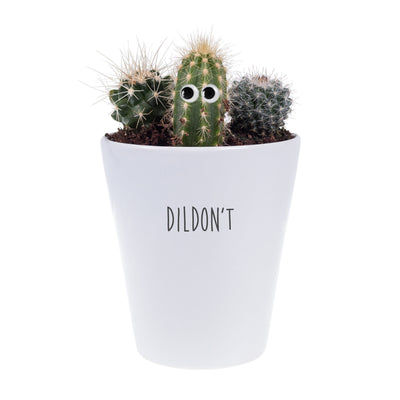 Dildon't | Funny Planter, Plant and Repotting Kit