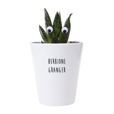 Herbione Granger Punny Planter, Plant and Repotting Kit