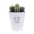 Look Sharp The Boss Is Coming | Funny Planter, Plant and Repotting Kit