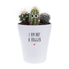 I'm Not A Hugger | Funny Planter, Plant and Repotting Kit