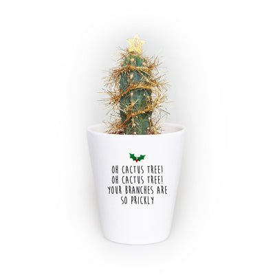 Christmas Cactus Tree | Christmas Cactus Live Plant | Desk Christmas Tree | Christmas Home Decor | Tiny Tree | Mini Xmas Tree