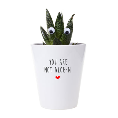 Aloe Vera Plant You Are Not Aloe-n | You Are Not Alone | Gift For Isolating | Quarantine Care Package | Thinking Of You Christmas Gift