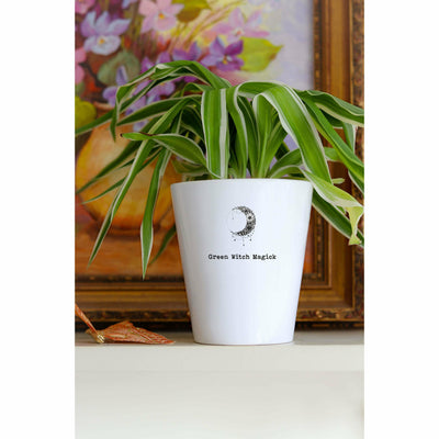 Green Witch Plant Kit | Houseplant Gift | Green Witch | Lunar Witch