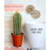 Looking Sharp Today Personalized Plant Pot, Funny Plant Pot Grow Your Own Cactus Kit, Houseplant Gift