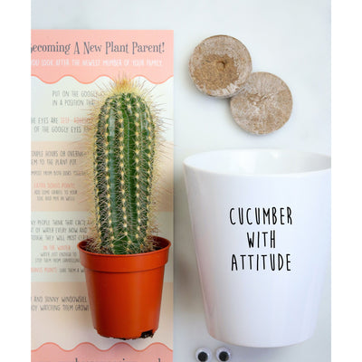 Cucumber With Attitude | Funny Planter | Funny Plant Pot | Cactus Cacti Houseplant