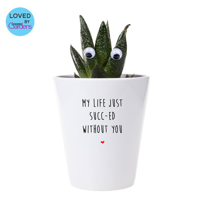 My Life Just Succ-ed Without You | Funny Planter, Plant and Repotting Kit