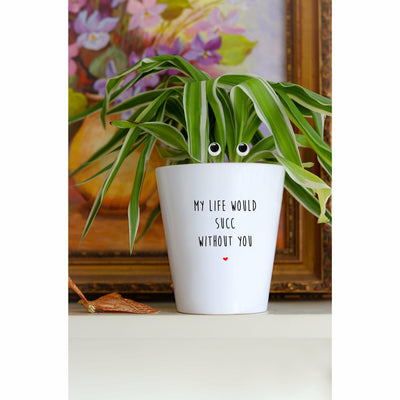 My Life Would Succ Without You | Funny Planter, Plant and Repotting Kit